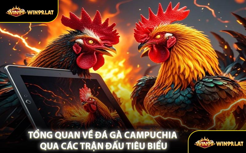 Tổng Quan Về Đá Gà Campuchia Qua Các Trận Đấu Tiêu Biểu